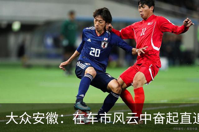 大众安徽：在车市风云中奋起直追，玩转价格游戏