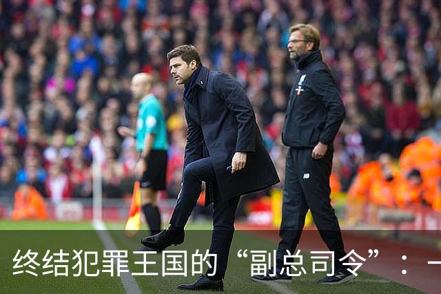 终结犯罪王国的“副总司令”：一个蓝马甲的滑铁卢